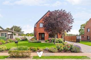 <p><span>Charmante woning met veel potentieel op mooi en rustig gelegen perceel van 9are86ca te Ham.</span></p><p><span> </span></p><p><span>Belangrijkste troeven: </span></p><p><span>- Centrale rustige ligging</span></p><p><span>- Nieuw dak</span></p><p><span>- PVC Ramen met dubbele beglazing</span></p><p><span>- Ruim en breed perceel </span></p><p><span>- Deels rolluiken voorzien</span></p><p><span>- Airco</span></p><p><span>- Zonnepanelen</span></p><p><span>- Volledig omheinde tuin</span></p><p><span> </span></p><p><span>Bekijk zeker ook de grondplannen met de afmetingen. Zo krijgt u van thuis uit al een perfect beeld van wat deze woning te bieden heeft!</span></p><p><span> </span></p><p><span>Wenst u meer info of een vrijblijvende bezichtiging, contacteer dan ons kantoor op het nummer 011 85 15 15 en wij helpen u graag verder.</span></p>