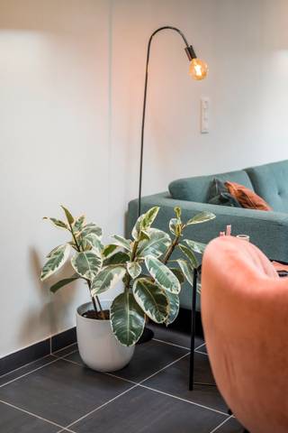 Maison à vendre à Beveren-Kruibeke-Zwijndrecht