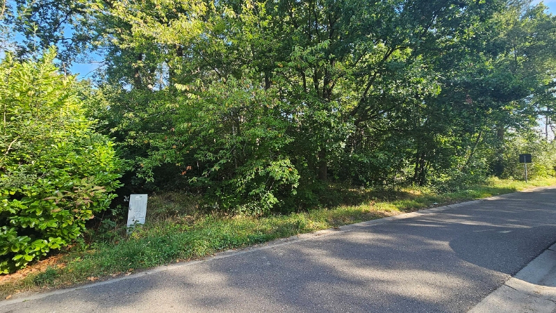 Perceel bouwgrond van 7a03ca voor open bebouwing - foto 5