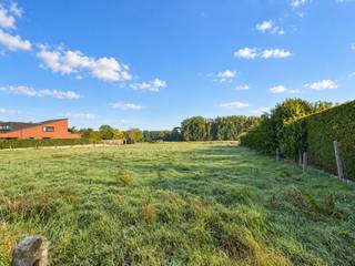 <strong>RUSTIG GELEGEN</strong> bouwgrond <strong>MET OPEN ZICHT OP DE VELDEN</strong> en een oppervlakte van <strong>573M²</strong> te Lierde. Dit vlakke perceel biedt uitstekende mogelijkheden voor het realiseren van een <strong>RUIME HALFOPEN BEBOUWING IN EEN LANDELIJKE OMGEVING</strong>. Met een <strong>BOUWBREEDTE VAN 8,5</strong> meter en een bouwdiepte van <strong>15 METER OP HET GELIJKVLOERS EN 12 METER OP DE VERDIEPING</strong> beschikt u over mooie bouwmogelijkheden. Verder is er de optie voor het plaatsen van een <strong>CARPORT EN APART BIJGEBOUW</strong>. Dankzij de gunstige vorm en oppervlakte van het perceel blijft er bovendien voldoende ruimte over voor de <strong>AANLEG VAN EEN AANGENAME TUIN</strong>, waar u geniet van het open uitzicht op het <strong>ACHTERLIGGENDE AGRARISCHE GEBIED</strong>. De ligging combineert <strong>LANDELIJK WONEN</strong> met een goede bereikbaarheid: via de nabijgelegen <strong>N8 EN N42</strong> geniet u van een vlotte verbinding richting omliggende gemeenten. Het <strong>CENTRUM VAN GERAARDSBERGEN</strong> met station en dagelijkse voorzieningen is vlot bereikbaar, terwijl het <strong>PROVINCIAAL DOMEIN DE GAVERS</strong> op korte afstand ligt voor ontspanning.<br /><br /><strong><u>Belangrijke parameters:</u></strong>
<ul>
	<li><span>Type: voor halfopen bebouwing</span></li>
	<li><span>Totale oppervlakte: 573m²</span></li>
	<li><span>Bouwbreedte: 8,5m</span></li>
	<li><span>Bouwdiepte: 15m op het gelijkvloers, 12m op de verdieping</span></li>
	<li><span>Plat of hellend dak mogelijk</span></li>
</ul>
Alle nutsvoorzieningen zijn reeds aanwezig en het <strong>VERKOOPBAARHEIDSATTEST</strong> werd bekomen, zodat u zonder vertraging kunt starten met de bouw van uw droomwoning.<br /><br />Geen bouwverplichting; P-score: A; Bestuursmaatregelen in maatregelenregister: neen; Vrij bij akte