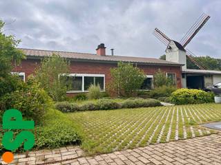 Maison à louer à Geel