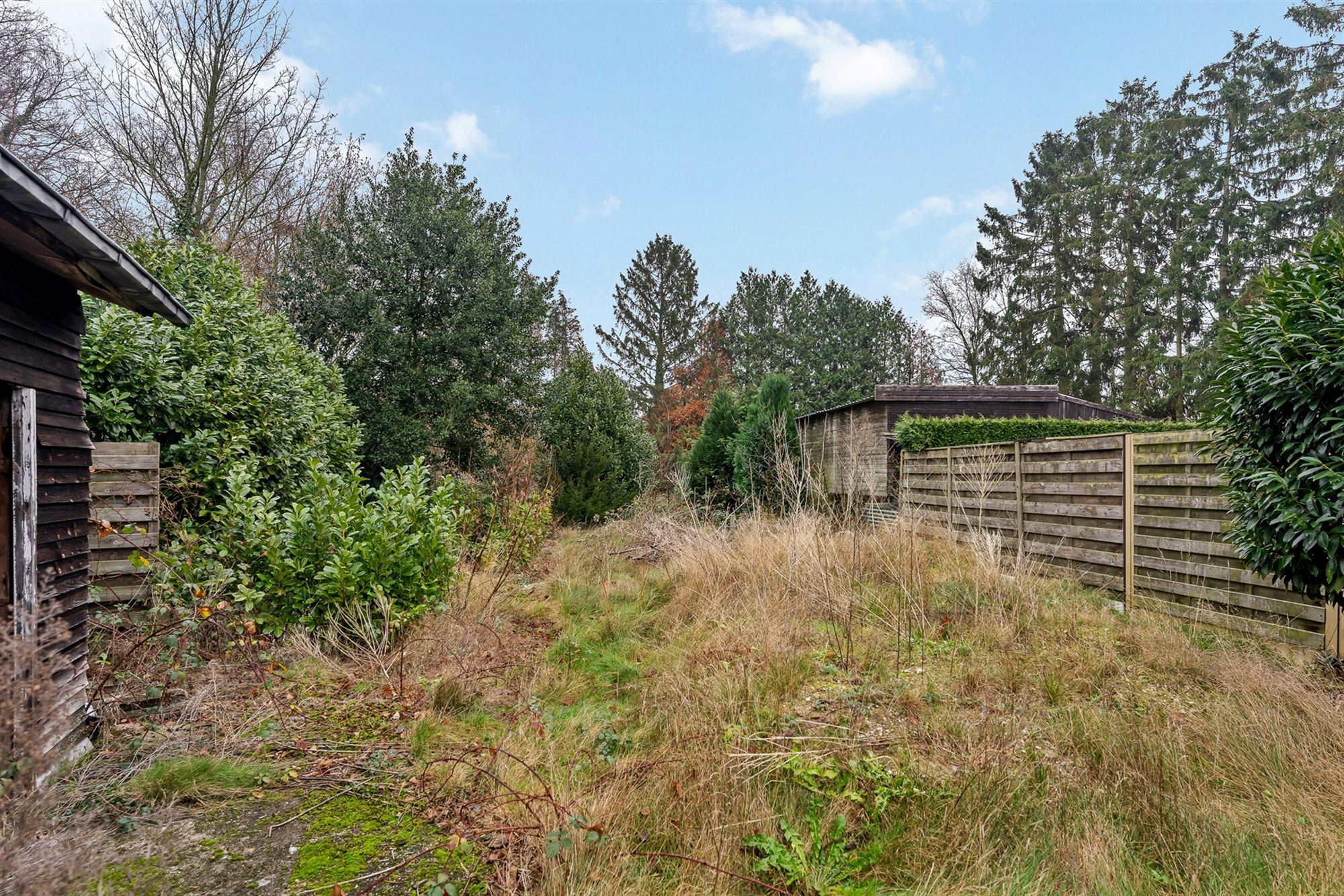 RENOVATIEPROJECT VOOR OPEN BEBOUWING OP RUIM PERCEEL VAN 11A31CA TE ZOLDER - foto 4