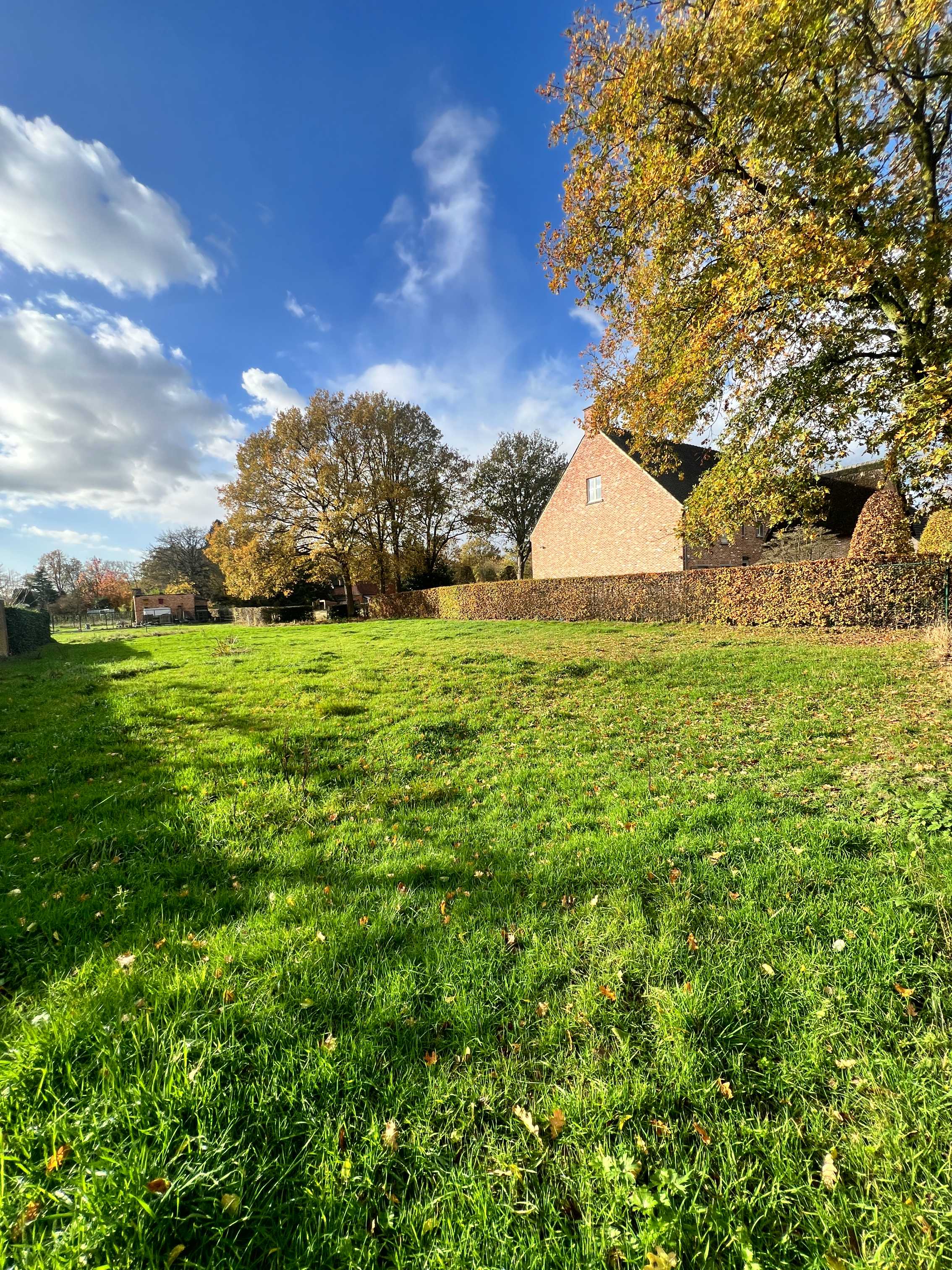 Grond te koop in Kalmthout - foto 5