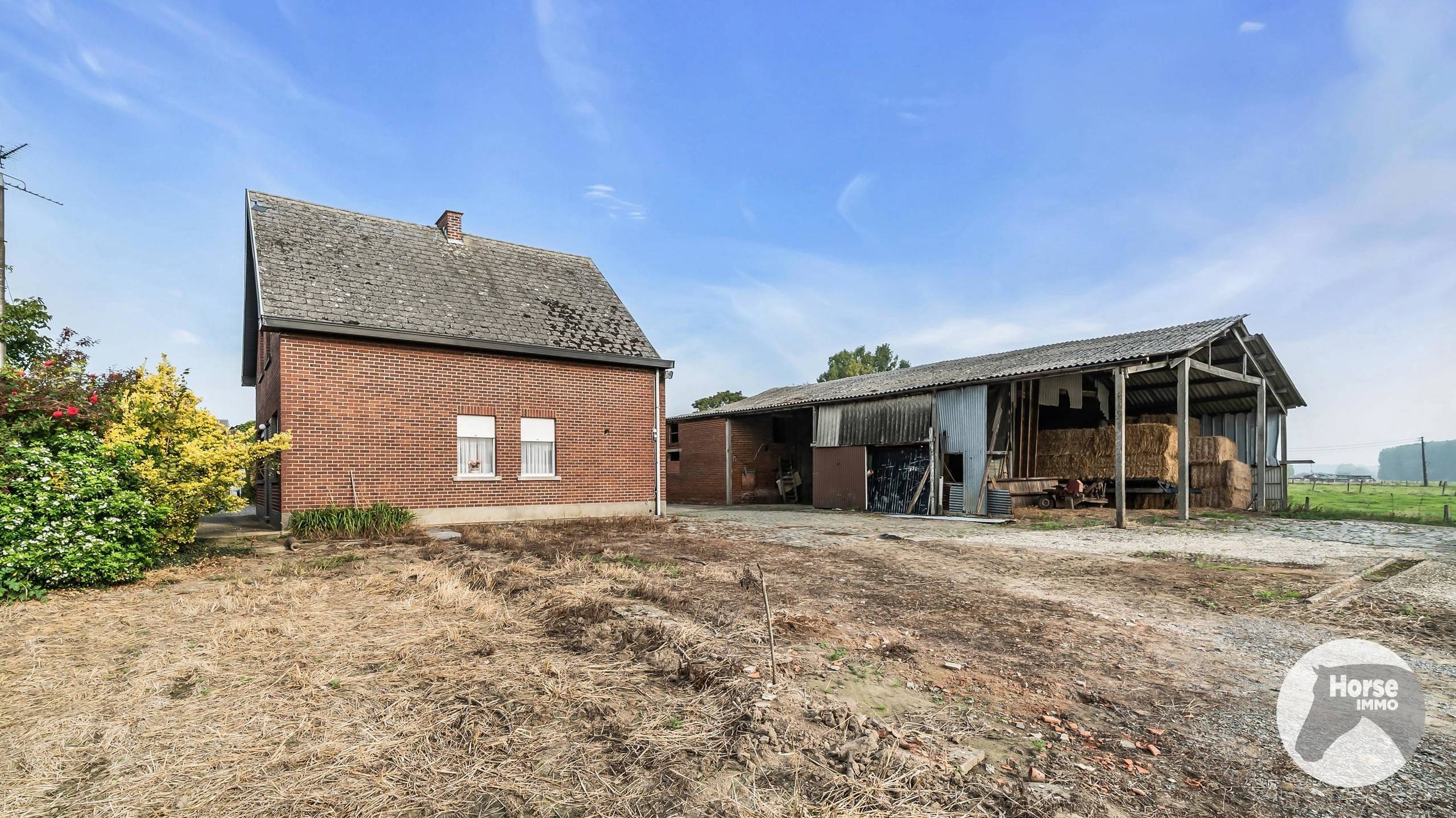 SINT-LIEVENS-HOUTEM - Landbouwbedrijf op +/- 73are - foto 4