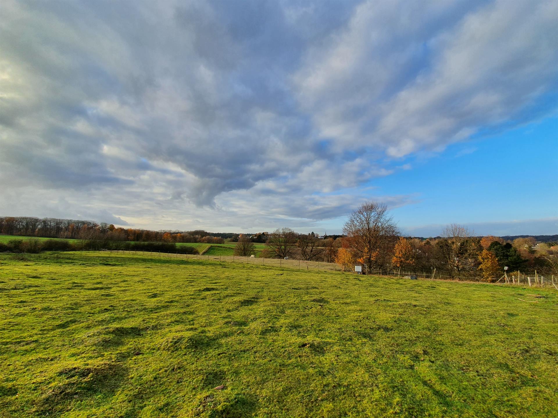 Land for sale in Lasne-Chapelle-Saint-Lambert - photo 5