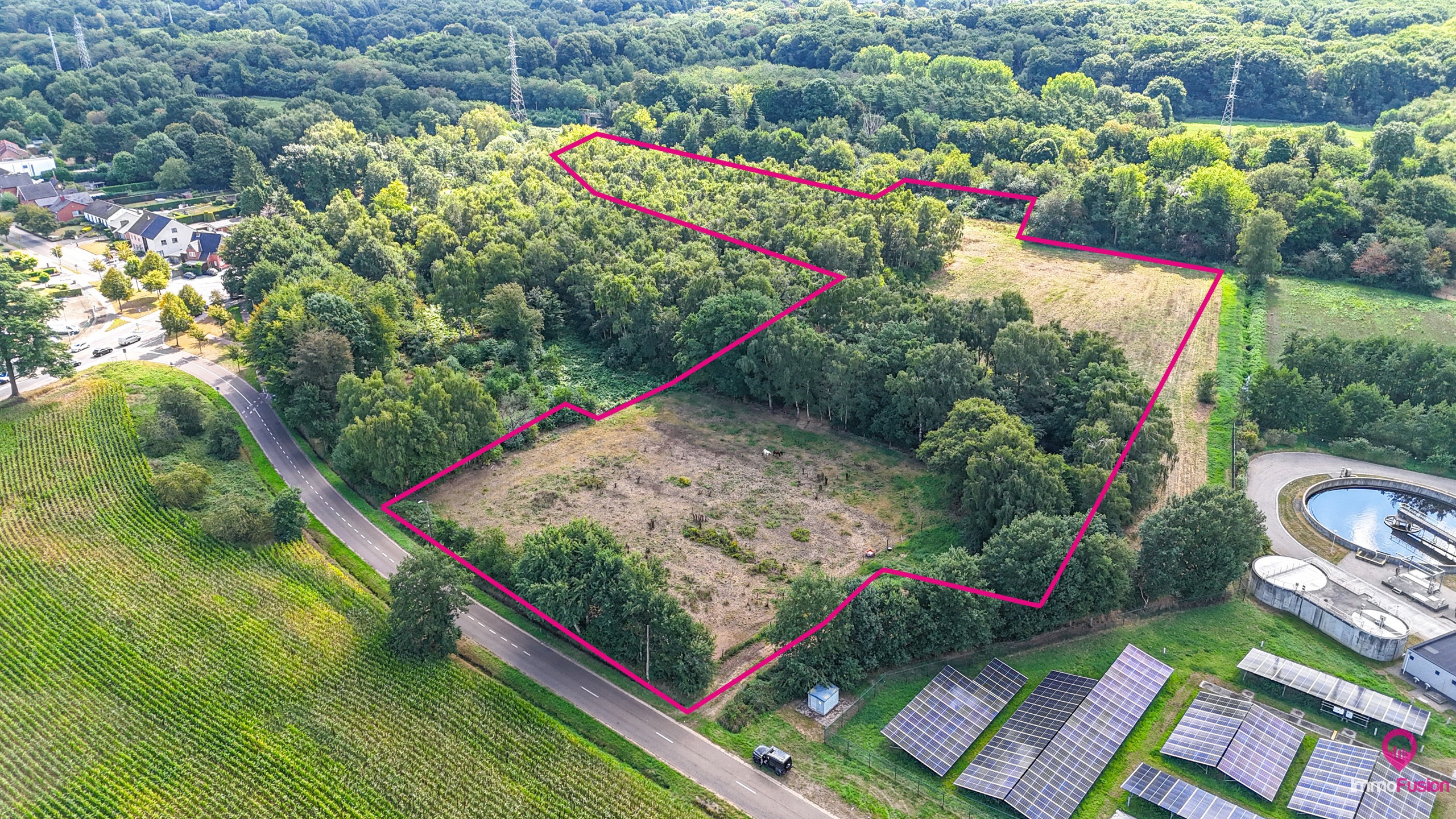 Uitgestrekt perceel van 3 hectare landbouw- of paardenweide! - foto 1