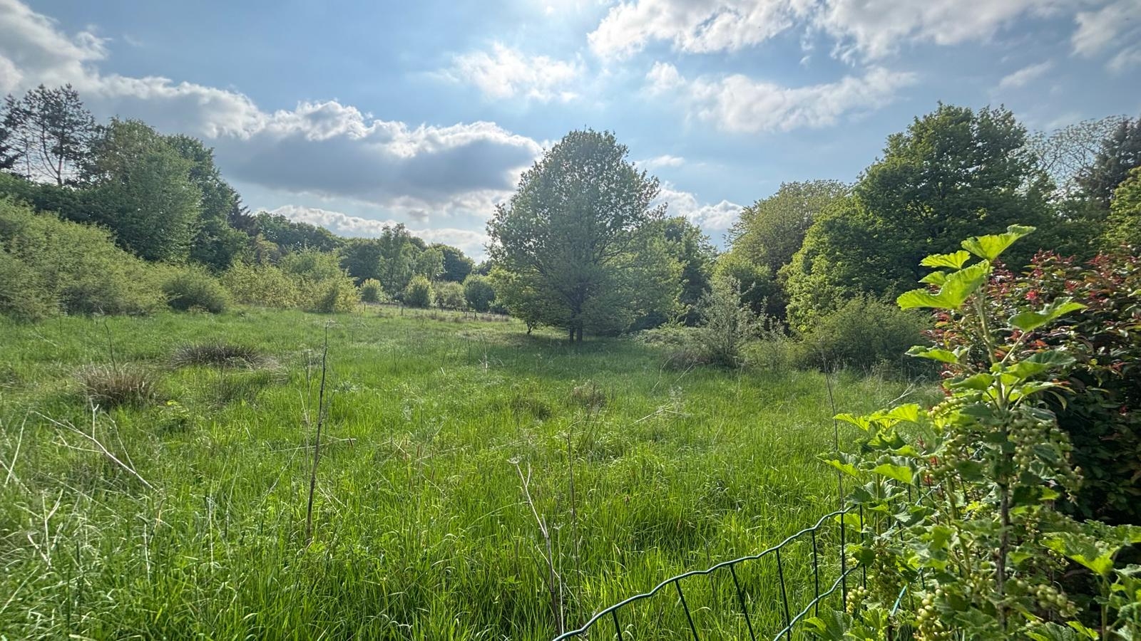 Prachtig perceel te koop in Couvin - foto 2