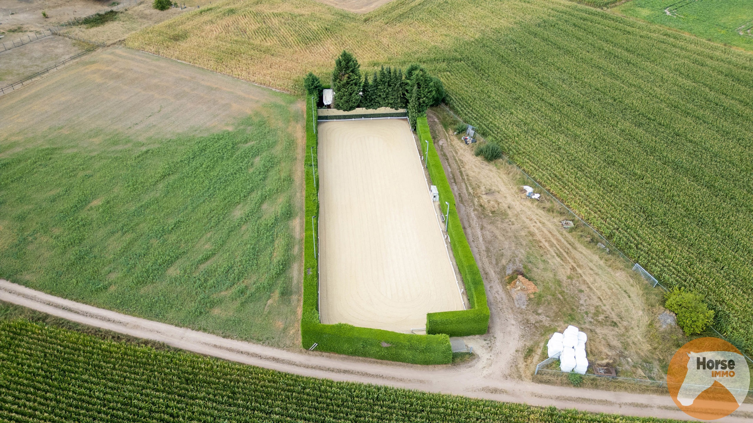 House for sale in Maaseik with 3 bedrooms - photo 4