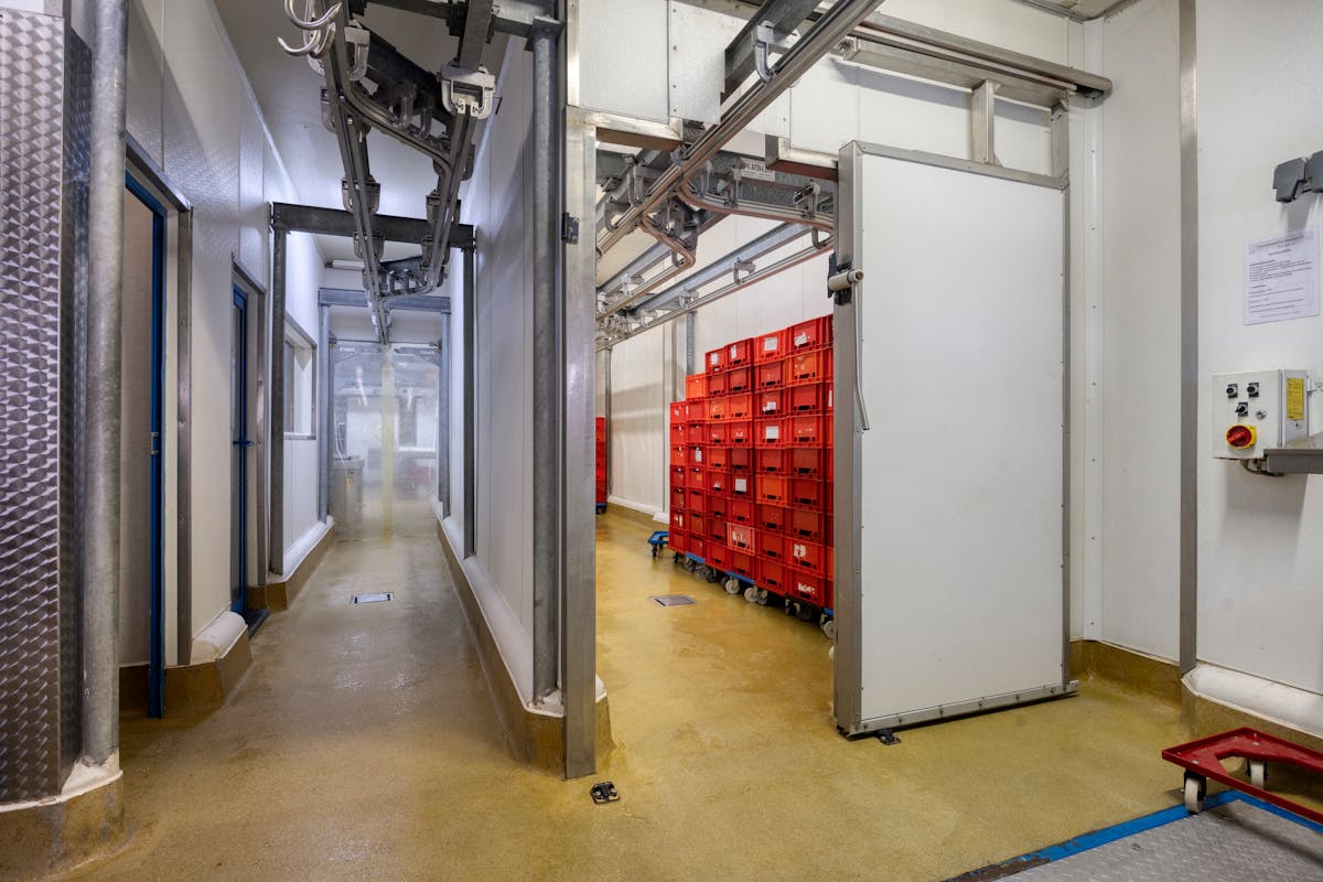 Atelier de découpe de viande entièrement équipé à vendre - photo 3