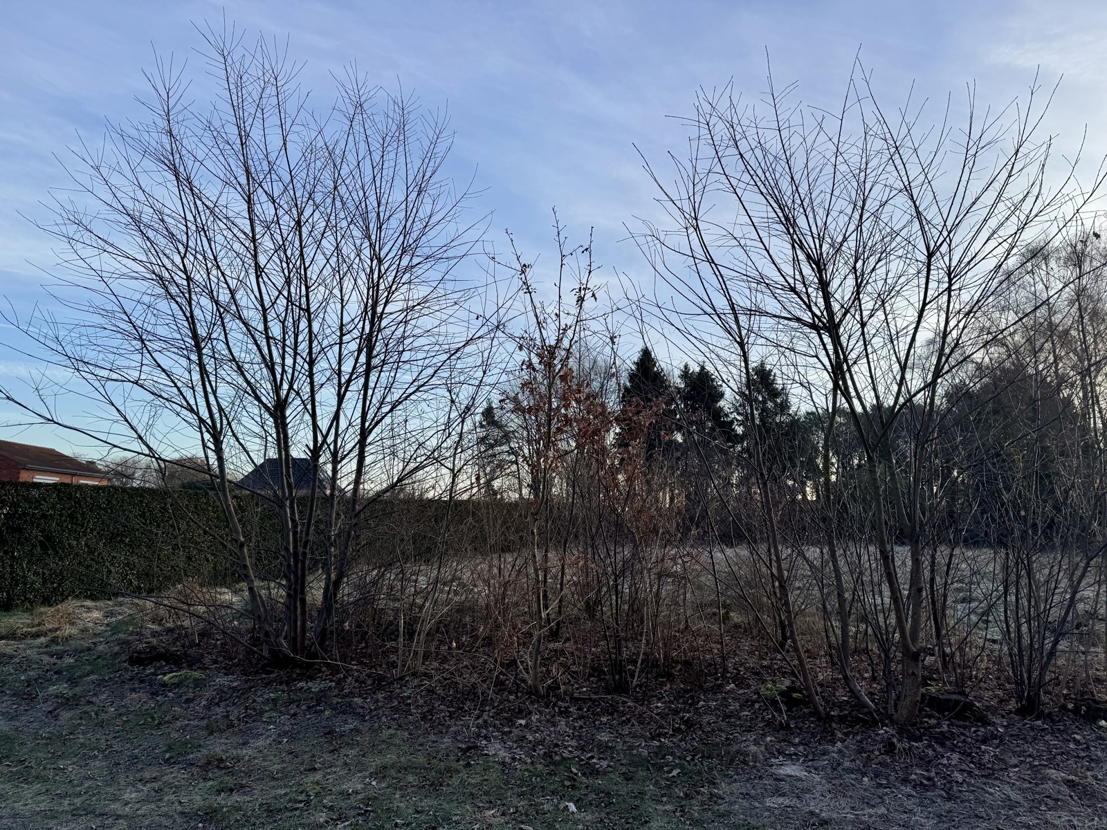 Grond te koop in Balen - foto 5