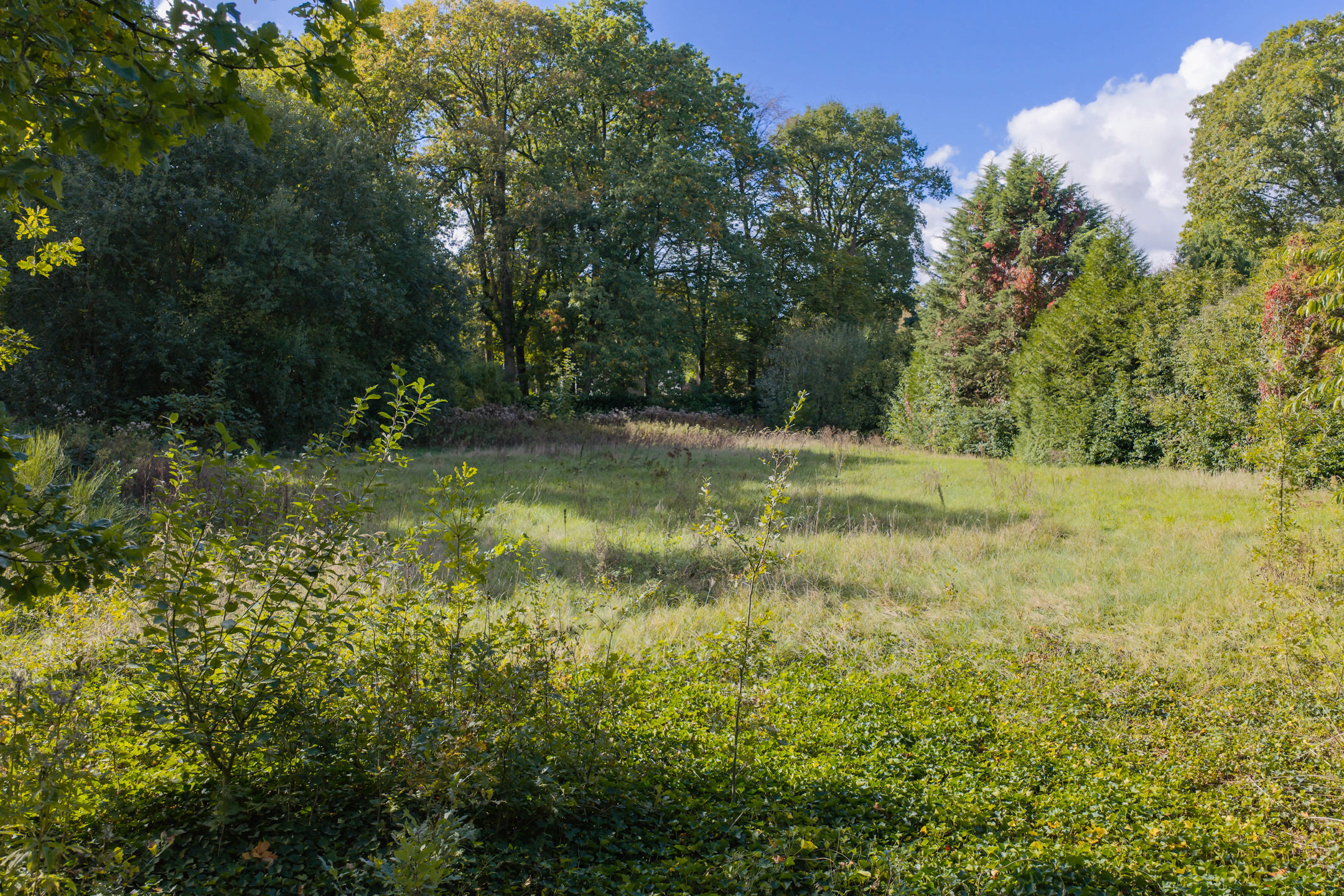 Terrain à vendre à Schilde - photo 5