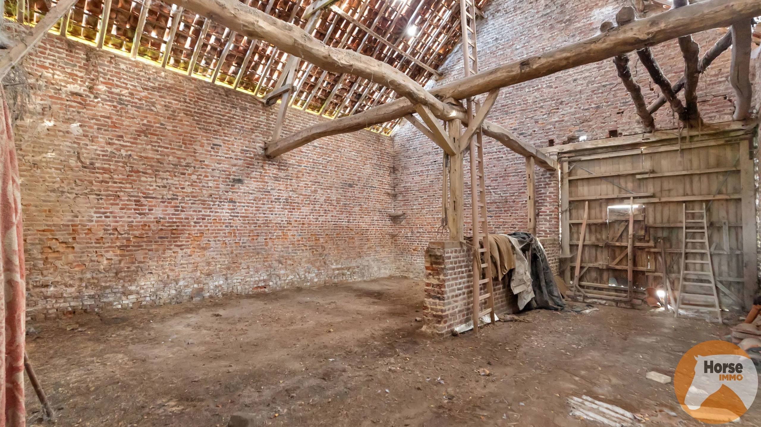 ASSE - Te renoveren hoeve met ruime schuur op 1,85 ha - foto 5