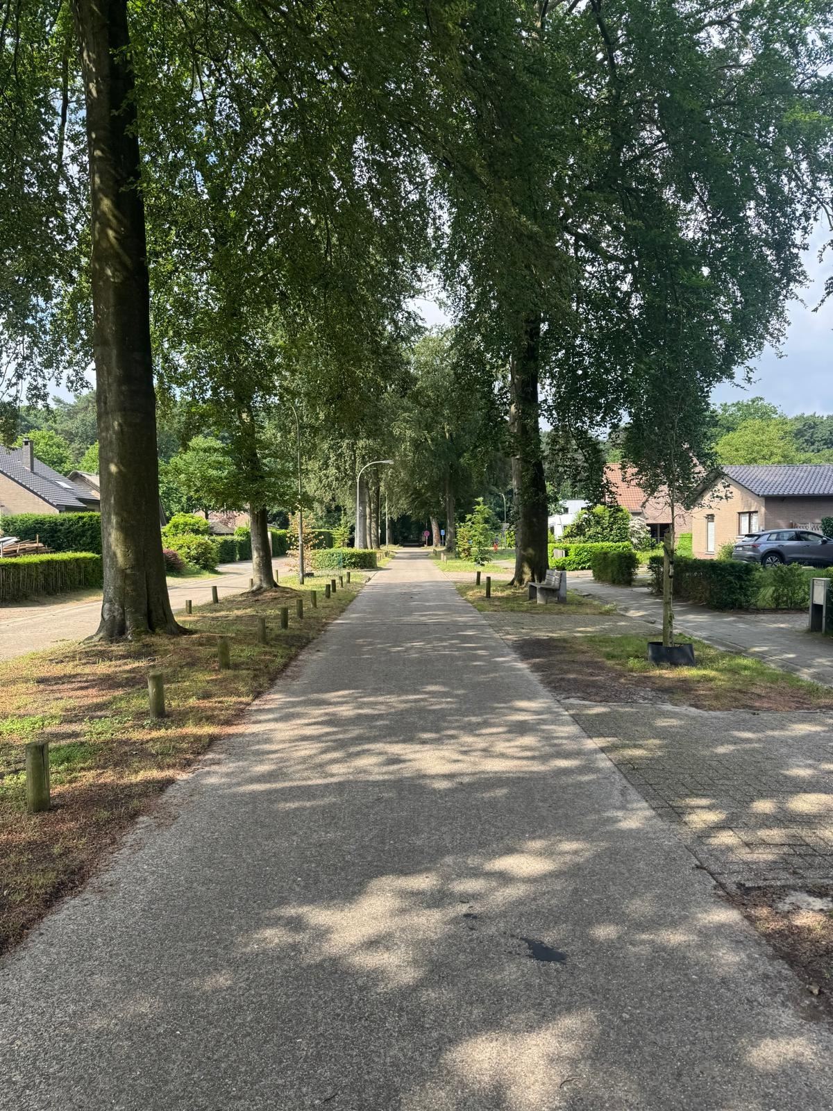 Maison à louer à Brasschaat avec 3 chambres - photo 4