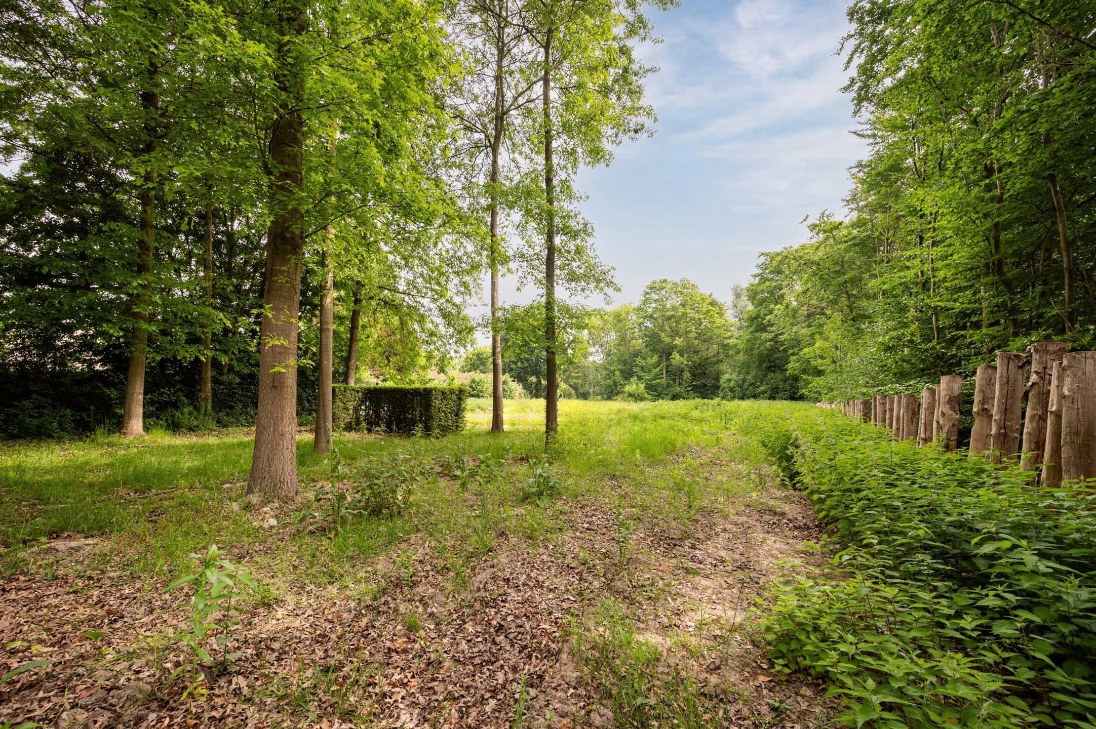 Land for sale in Sint-Martens-Latem - photo 1