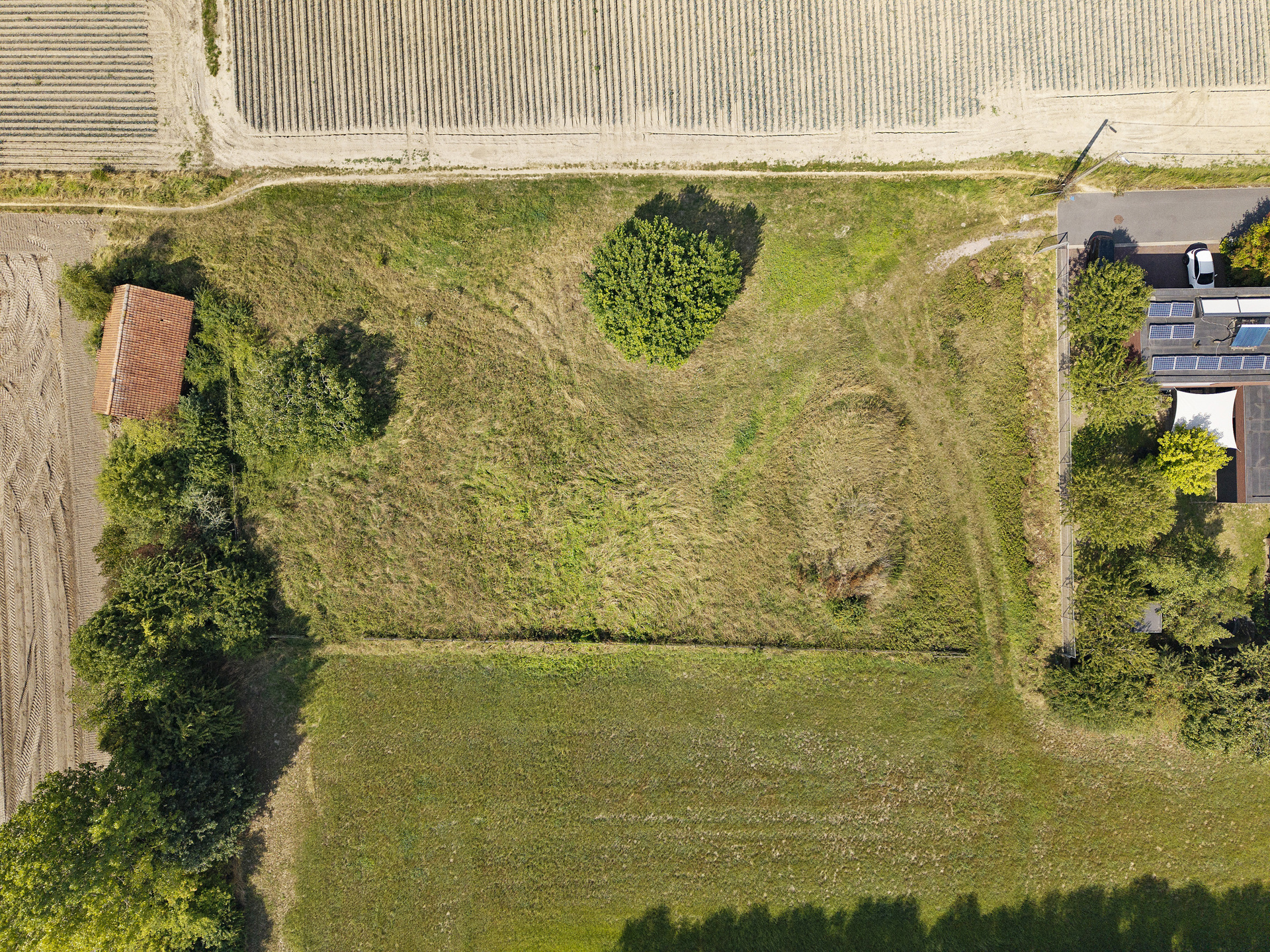 Unieke bouwgrond van 3300m2 + 2 hectare omheinde weide/tuin - foto 4