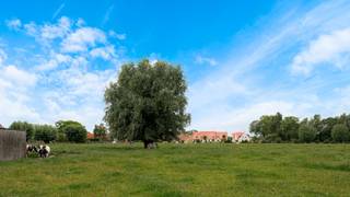 <strong>OPEN HOUSE - zaterdag 18 juli 2026, van 14u tot 17u.</strong><br /><br />Omringd door rust en groen vinden we deze karaktervolle landelijke woning, discreet terug in het centrum van Lapscheure.<br /><br />Het ruime perceel van ca. 515m² biedt volledige privacy en een open zicht over de omliggende velden - een zeldzame vondst voor wie houdt van natuur, buitenruimte en authenticiteit.<br /><br />Het onregelmatige metselwerk in warme oker- en grijstinten, afgezet onder een rood pannendak, geeft het huis een verankerd, vanzelfsprekend karakter binnen het dorpse straatbeeld. De tactiele kwaliteit van de baksteen versterkt het ambachtelijke karakter van de woning.<br /><br />De woning zelf telt geen overbodige ruimtes, de indeling is compact en logisch. Op de benedenverdieping komt men binnen in de inkomhal met vestiairekast. De lichtrijke woonkamer met zit- en eetplaats gaat vanzelfsprekend over op de landelijke open keuken. De douchekamer is vernieuwd en bevindt zich tevens op het gelijkvloerse niveau met alsook een berging en wasplaats.<br />De bovenverdieping telt 2 volwaardige kamers. <br /><br />De zolder bereikt u via de toegangsluik. Het dak is volledig in orde, er werd bijkomende isolatie voorzien en de verwarming gebeurt met een lucht-lucht warmtepomp.<br /><br />De tuin, op het zuidoosten gericht, ruim van opzet, met een grasveld dat openligt naar de achterliggende velden, is wat deze woning uitzonderlijk maakt.<br />Het is de openheid van de tuin en het gevoel van ruimte die de woning haar zeldzame kwaliteit geeft.<br /><br /><em><strong>Deze woning wordt u aangeboden aan een instelprijs, ieder bod wordt voorgelegd aan de verkoper, die al dan niet hierop kan ingaan.</strong></em><br /><br /> Heeft u interesse? Contacteer ons via 050 60 60 78 of info@immonano.be.