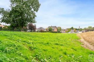 <p>OEDGELEGEN GROND van 1585m2 te OUDENAARDE! ZICHT OP GROEN! ZUID-OOSTgericht! Geen bouwverplichting! Ideaal voor VRIJ BEROEP in combinatie met wonen! Straatbreedte: 20m, Diepte: 75m, bebouwbare oppervlakte: 15m x 12,36m dus 185,4m2. Bezoek na afspraak met IMMO BEGUIN: 0486 606 600.</p>