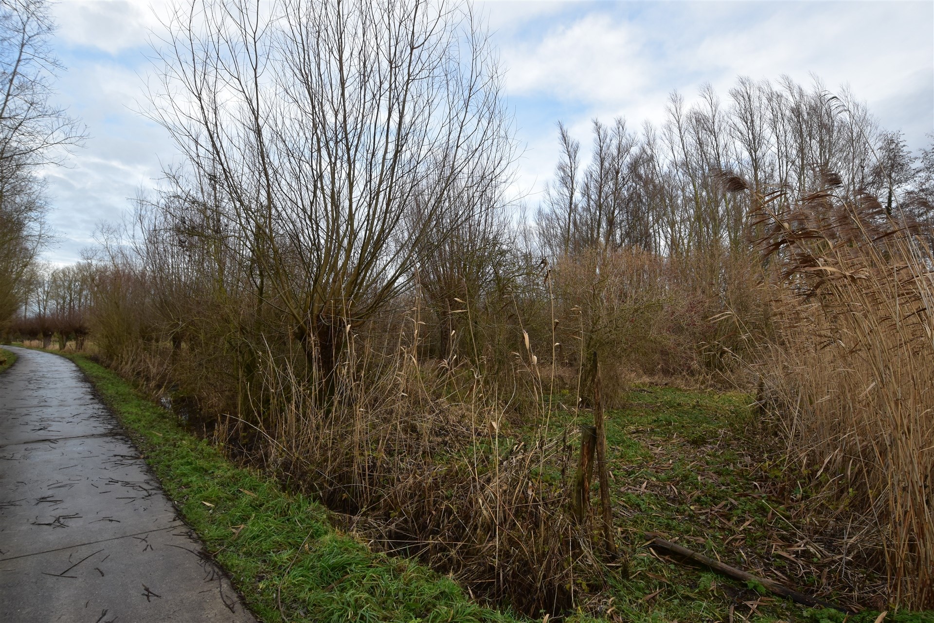 Land for sale in Dendermonde - photo 3