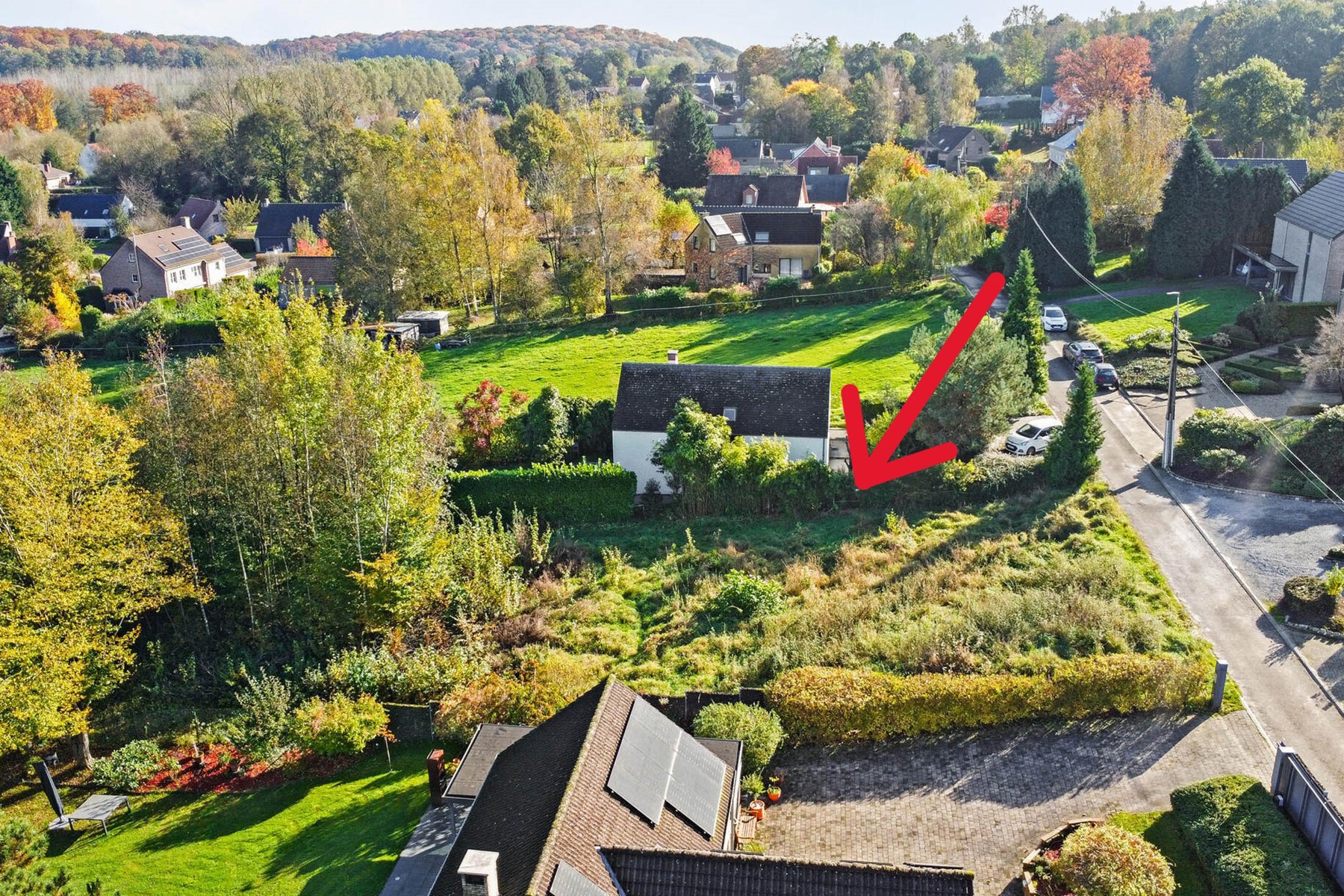 Grond te koop in Graven - foto 3