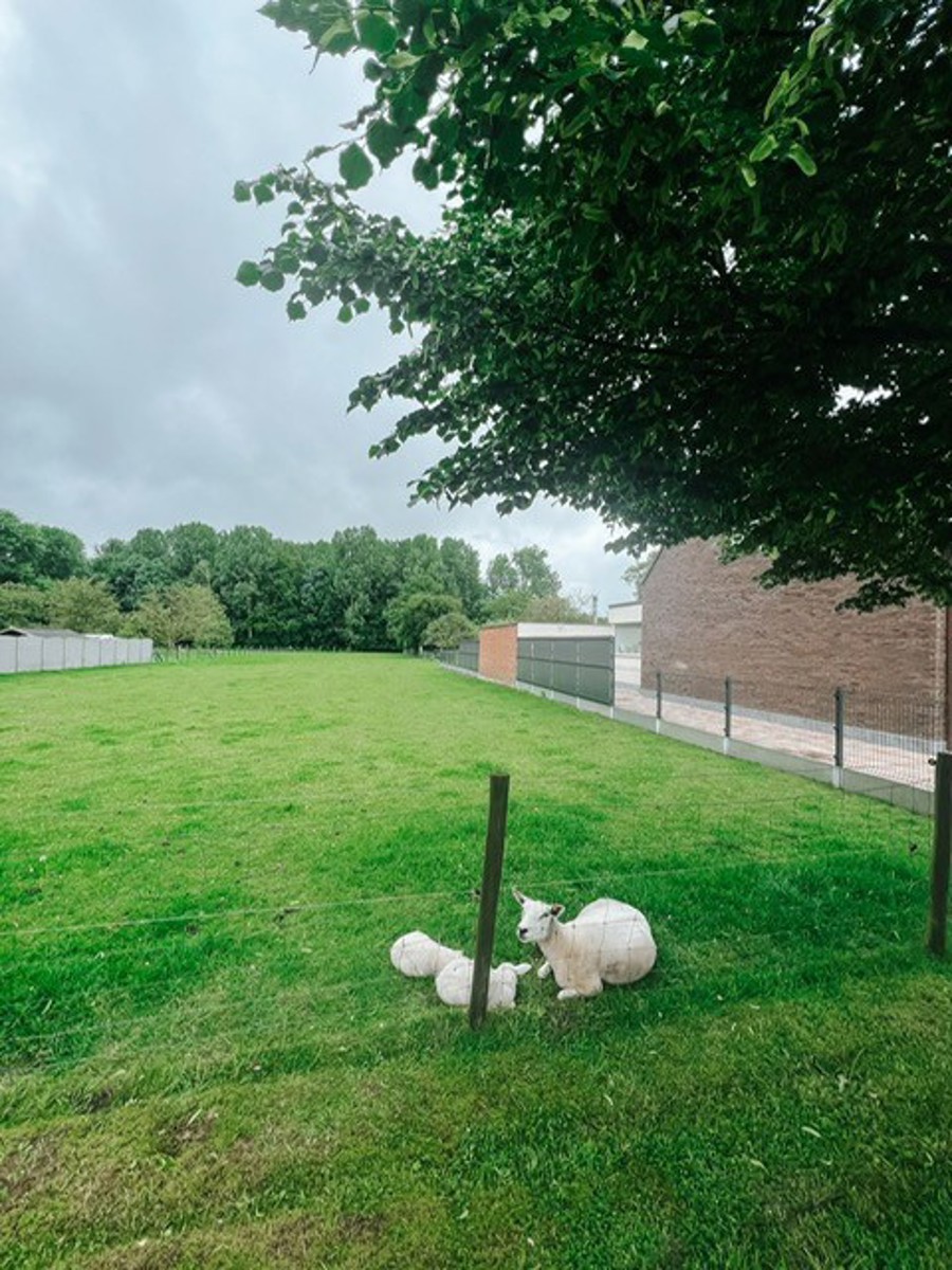 centraal gelegen bouwgrond  - foto 4