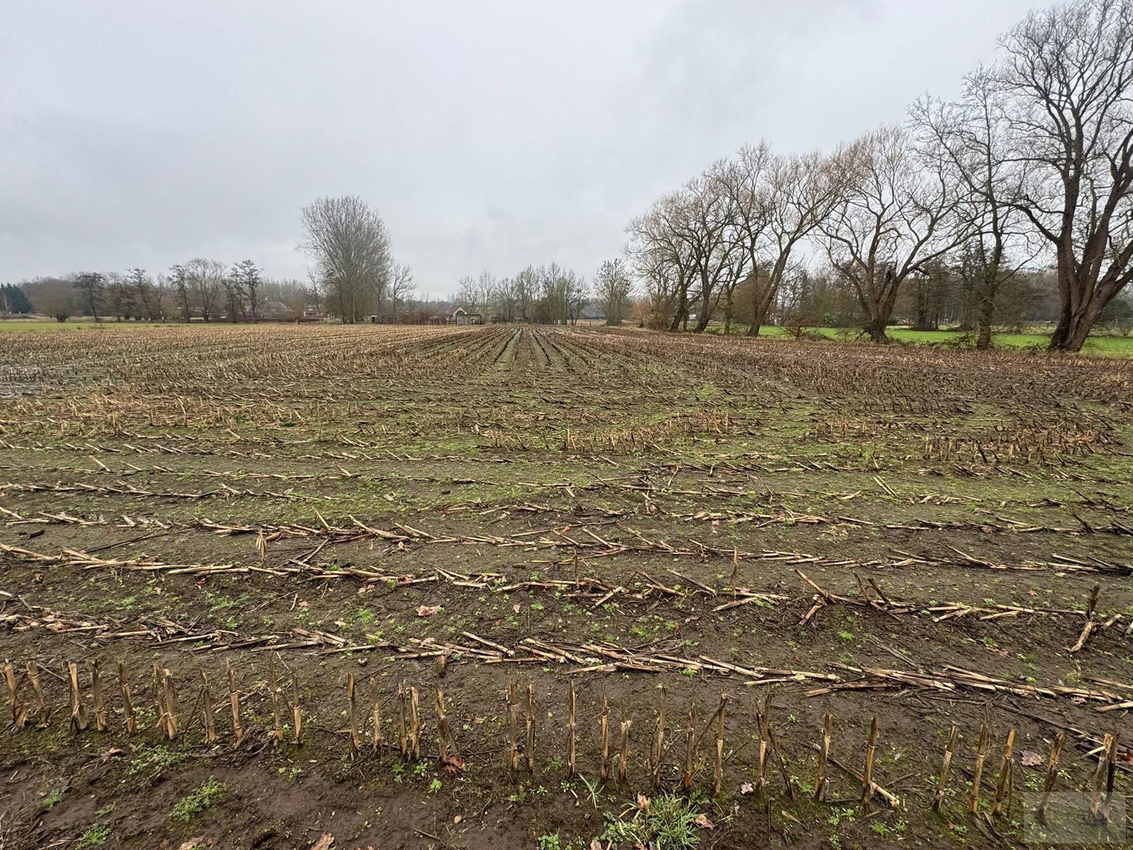 Goed gelegen landbouwgrond met opp van 12.630m² te Putte! - foto 4