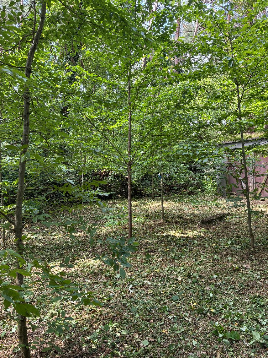 Terrain à vendre à Bonheiden - photo 5