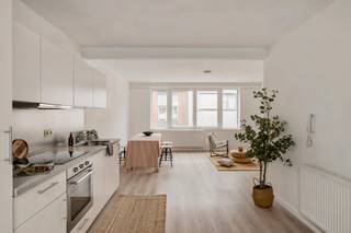 <p> </p><p><strong>Je wandelt zo naar Park Spoor Noord, springt vlot op tram of bus en hebt winkels, horeca en Antwerpen-Centraal allemaal binnen handbereik. En toch woon je hier in een rustige eenrichtingsstraat waar het stadsleven net dat tikkeltje zachter aanvoelt. In die fijne setting ligt dit instapklare appartement op de eerste verdieping van een kleinschalig gebouw met slechts vier appartementen. Licht, verzorgd en helemaal klaar voor iemand die op zoek is naar een plek zonder zorgen. Kom binnen…</strong></p><p> </p><p><strong>Een leefruimte waar licht de hoofdrol speelt</strong></p><p> </p><p>Van zodra je binnenkomt, valt één ding meteen op: het daglicht. Dankzij de vele ramen baadt de leefruimte in een aangename, open sfeer. Hier vloeien wonen, ontspannen en gezellig samen zijn moeiteloos in elkaar over.</p><p> </p><p>De open keuken sluit er mooi op aan en is uitgerust met een oven, inductievuur en dampkap. Praktisch werd er ook gedacht aan extra opbergruimte, want naast de keuken vind je ingebouwde kasten met aansluiting voor wasmachine. Handig!</p><p> </p><p><strong>Slapen in alle rust</strong></p><p> </p><p>De slaapkamer bevindt zich aan de rustige achterzijde van het gebouw. Hier kijk je uit op een verzorgde achtergevel, die net als het dak recent werd geïsoleerd. Een plek waar je je gemakkelijk even afsluit van de stad. Aansluitend ligt de badkamer die nog nog een tikkeltje liefde nodig heeft.</p><p> </p><p><strong>Een gebouw dat gewoon klopt</strong></p><p> </p><p>Ook praktisch zit het helemaal goed. Het gebouw is kleinschalig, waardoor het aangenaam wonen blijft. Je beschikt over aparte meters voor water, gas en elektriciteit, de elektriciteit is conform, het appartement is asbestveilig en met een EPC-label B woon je bovendien energiezuinig.</p><p> </p><p>Met een vloeroppervlakte van 55 m², een Mobiscore van maar liefst 9,5 en een ligging waar alles binnen handbereik ligt, is dit een appartement dat bijzonder veel mensen zal aanspreken. Alleen wonen, samen starten of investeren: hier kan het allemaal.</p><p> </p><p><em>Kleine disclaimer: de foto’s zijn genomen in het identieke appartement op de 2e verdieping. Op de 1e verdieping kan het hier en daar nét een tikkeltje anders zijn.</em></p><p> </p><p><strong>Verliefd? Info@ugly.be</strong></p><p> </p>