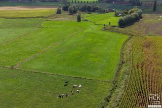 <strong>De ligging</strong><br />Deze 2 percelen landbouwgrond (hooiland), die samen een mooi geheel vormen zijn ter plaatse gekend te 'Pouckemeerschen'.<br />Toegang tot de percelen via de Waterwalstraat.<br /><br /><strong>Het perceel</strong><br />De percelen grond palen aan elkaar en vormen samen een mooi geheel van 12.880 m² groot. Beide percelen zijn deels begrensd door de 'Kapellebeek'.<br />Vrij van pacht bij akte.<br /><br /><strong>Kenmerken</strong><br />- oppervlakte: 12.880 m²<br />- geen voorkooprecht van toepassing<br />- landschappelijk waardevol agrarisch gebied <br /><br /><strong>Troeven</strong><br />- mooi blok perceel!<br />- vrij van pacht!<br /><br />Voor meer informatie reageer via het contactformulier of stuur naar info@hckinvest.be