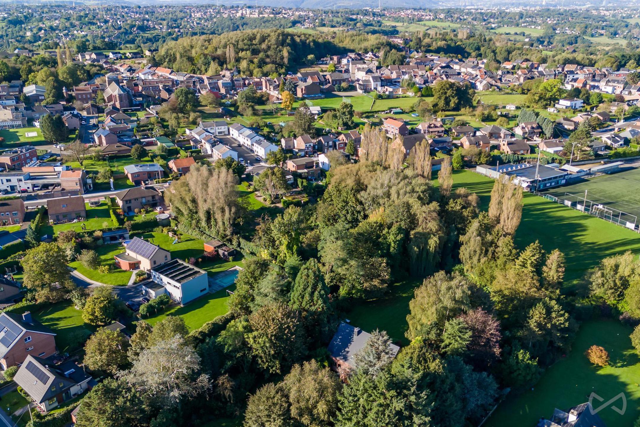 Land for sale in Saive - photo 5