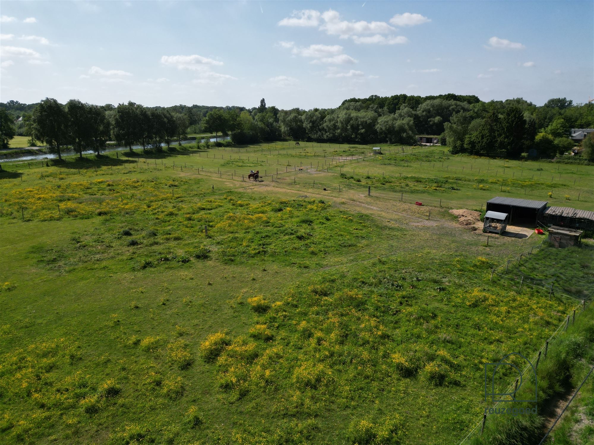 Landbouwgrond in Boortmeerbeek - paardenweide - 2,5 ha - foto 1