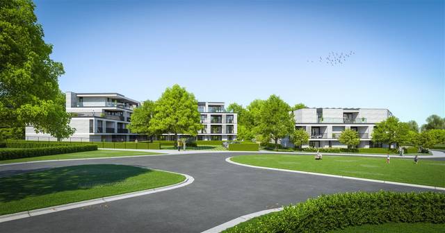 Project te koop in Beringen