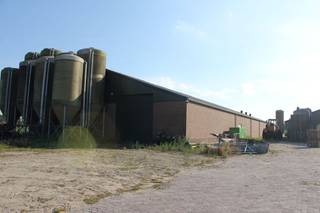 Landbouwbedrijf met grote landbouwloodsen te koop te Ravels (Weelde).<br />Voormalig varkensbedrijf, stallen met één overspanning, deels omgebouwd naar landbouwloodsen.<br />Circa 3.750 m² aan bedrijfsgebouwen (twee loodsen van 50 x 22 m, één van 50 x 17m en één van 70 x 10 m)<br />Momenteel geen bedrijfswoning meer aanwezig, indien woning gewenst opnieuw aan te vragen.<br /><br />Gelegen op een perceel van 1 ha 47 are 17 ca in landbouwzone.<br />Goed geschikt voor opslag landbouwproducten, stallen landbouwmachines,.....<br />