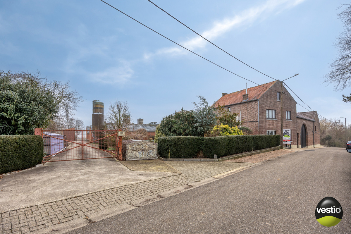 VIERKANTSHOEVE MET 4 BIJHORENDE VARKENSSTALLEN TE SINT-HUIBRECHTS-HERN op 65A79CA. - foto 2