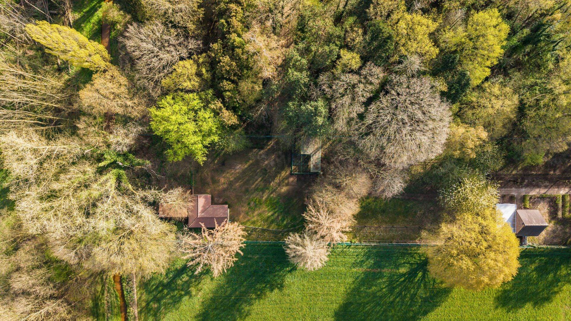 Exclusief en karaktervol landhuis met uitzonderlijke woonbeleving op een terrein van 8070m² in Heusden-Zolder. - foto 3