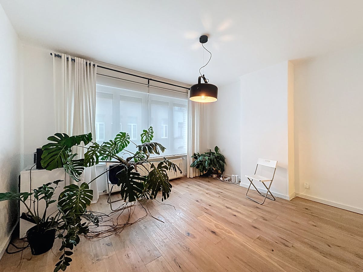 Woning met 3 slaapkamers te huur in Antwerpen-Noord - foto 4