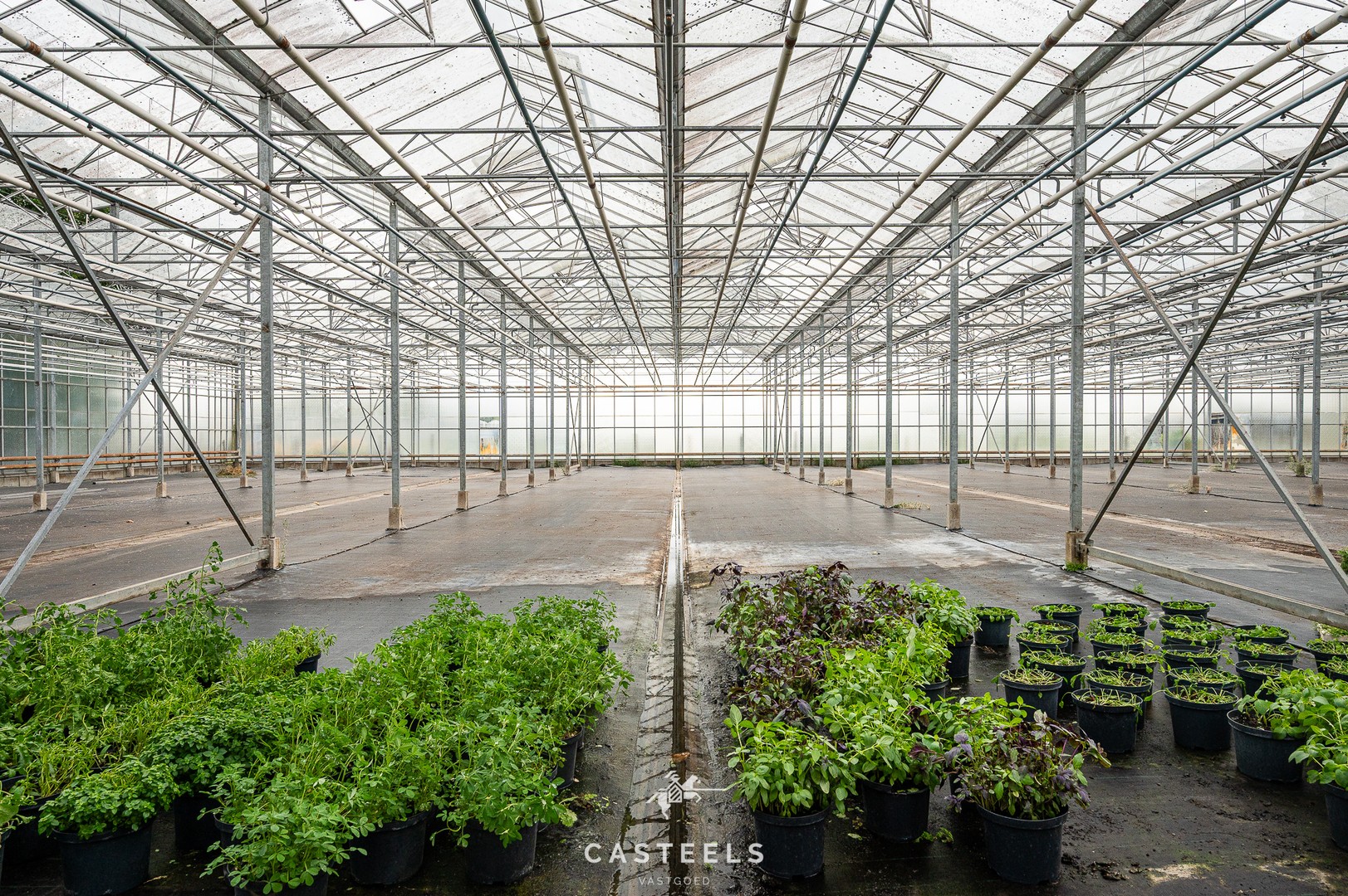 Uitzonderlijke tuinbouwsite in hartje Lochristi - foto 5