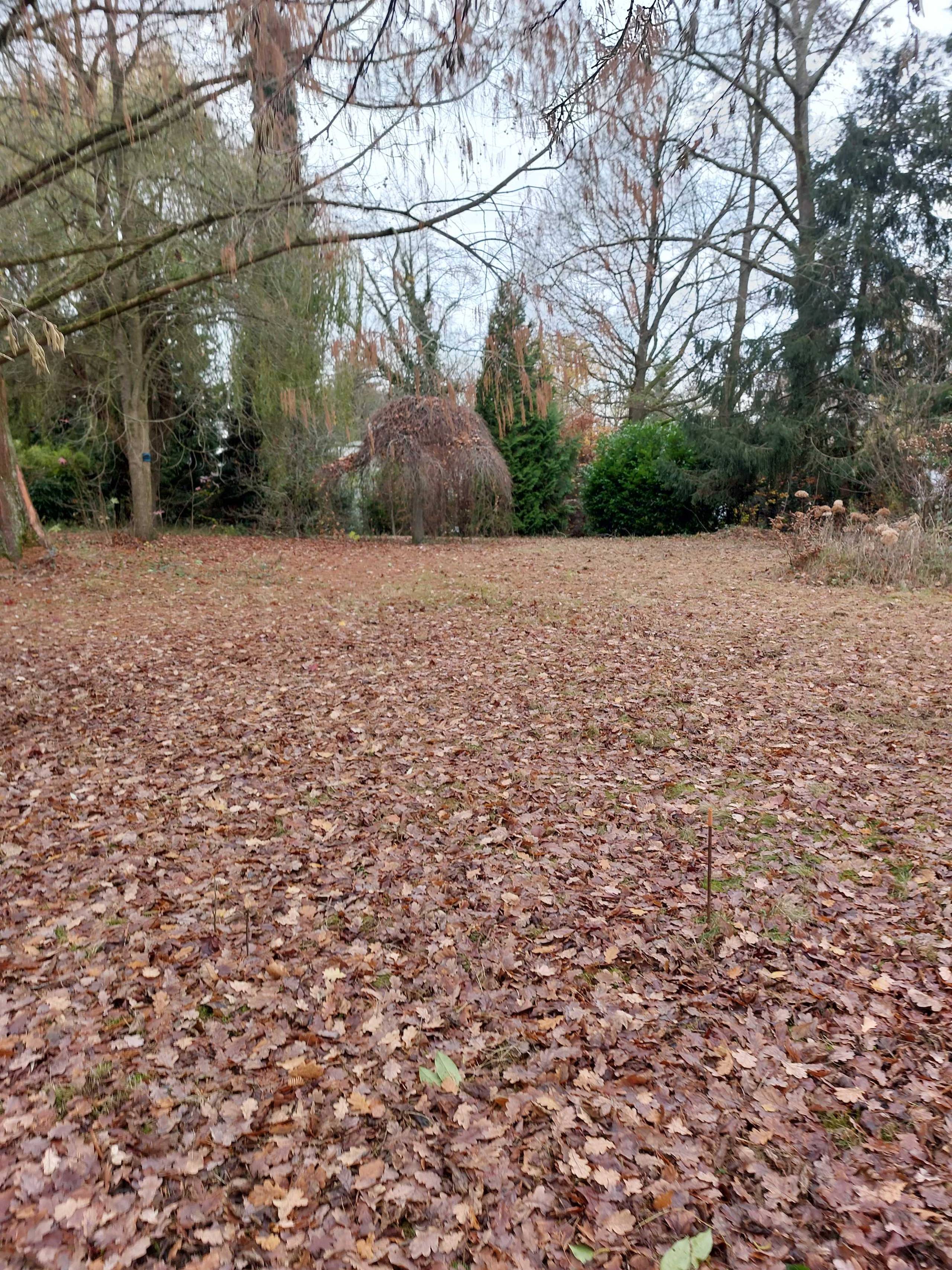 Grond te koop in Kessel-Lo - foto 2