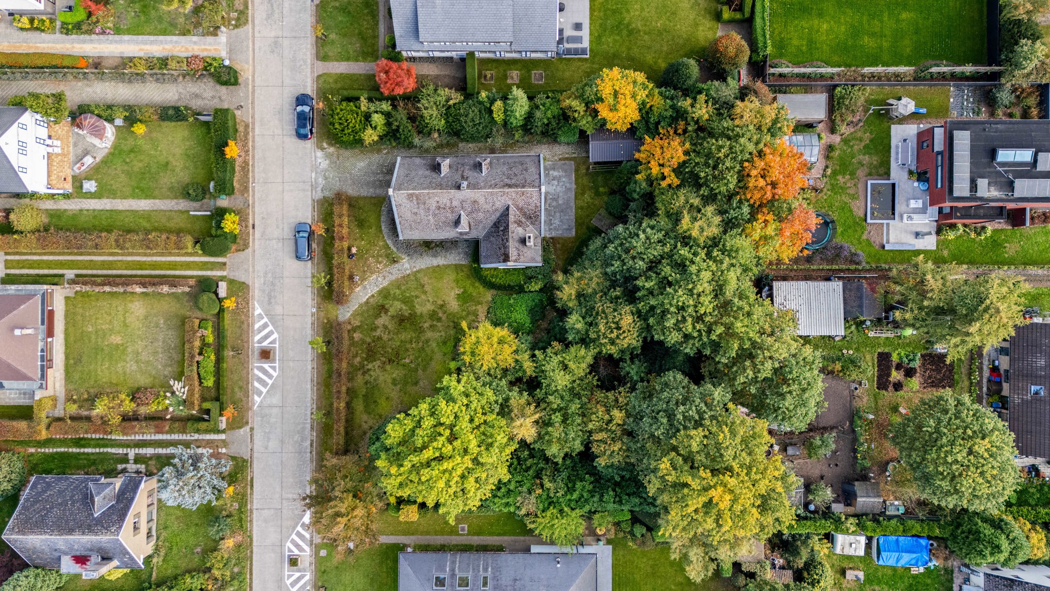 Ruime villa in een rustige buitenwijk van Wetteren  - foto 2