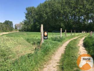 DENDERLEEUW - Goed bereikbare weide van 1,6HADit perceel kunt u terugvinden onder DENDERLEEUW AFD2 sectie: B, nummers: 1658d - 1656a - 1656b - 1656c...