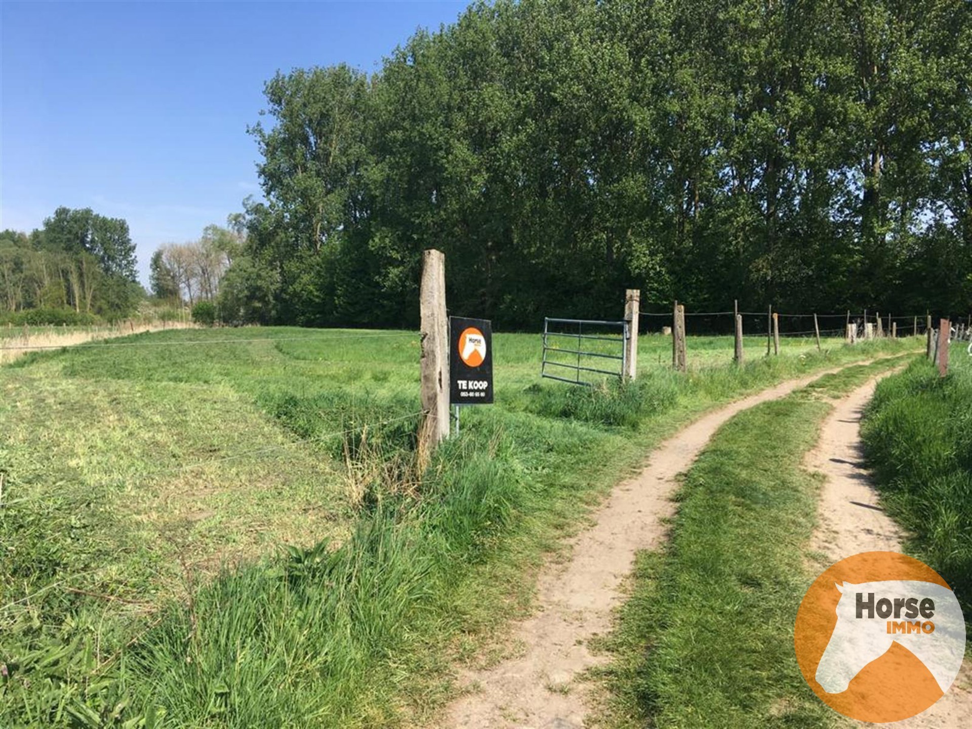 DENDERLEEUW - Weide van 1,6 HA. - foto 3