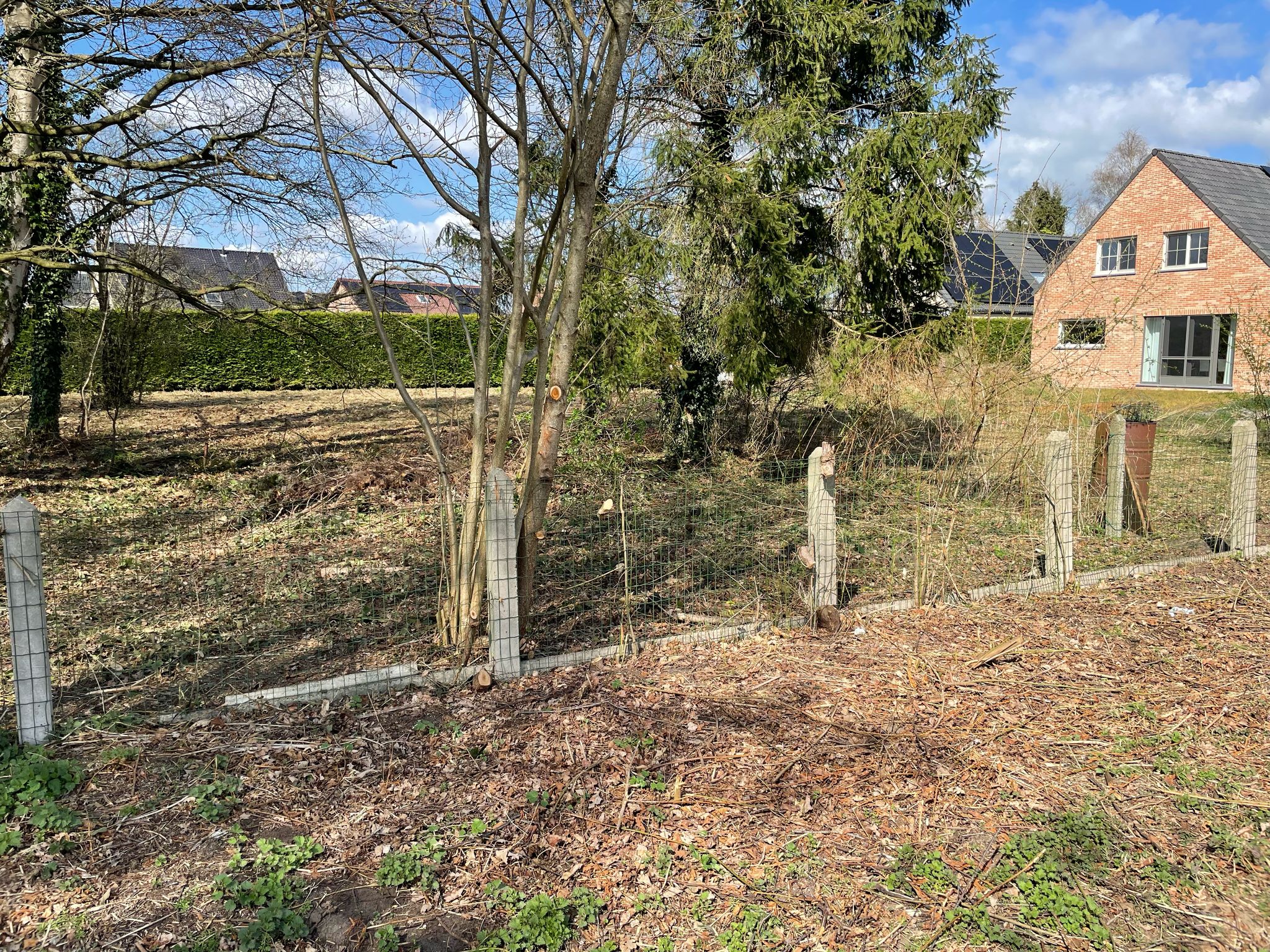 Grond te koop in Booischot - foto 4