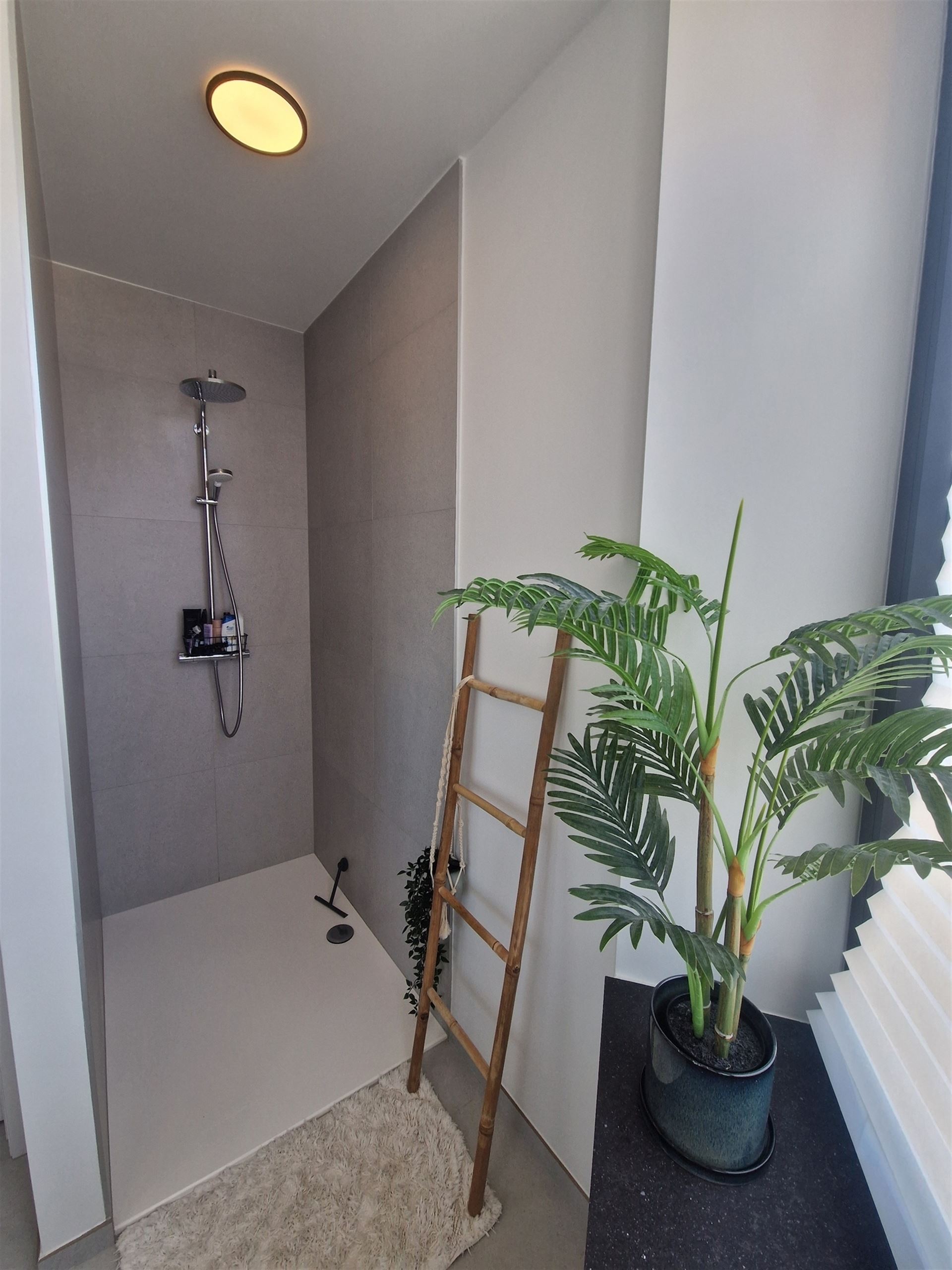 Apartment - photo 5