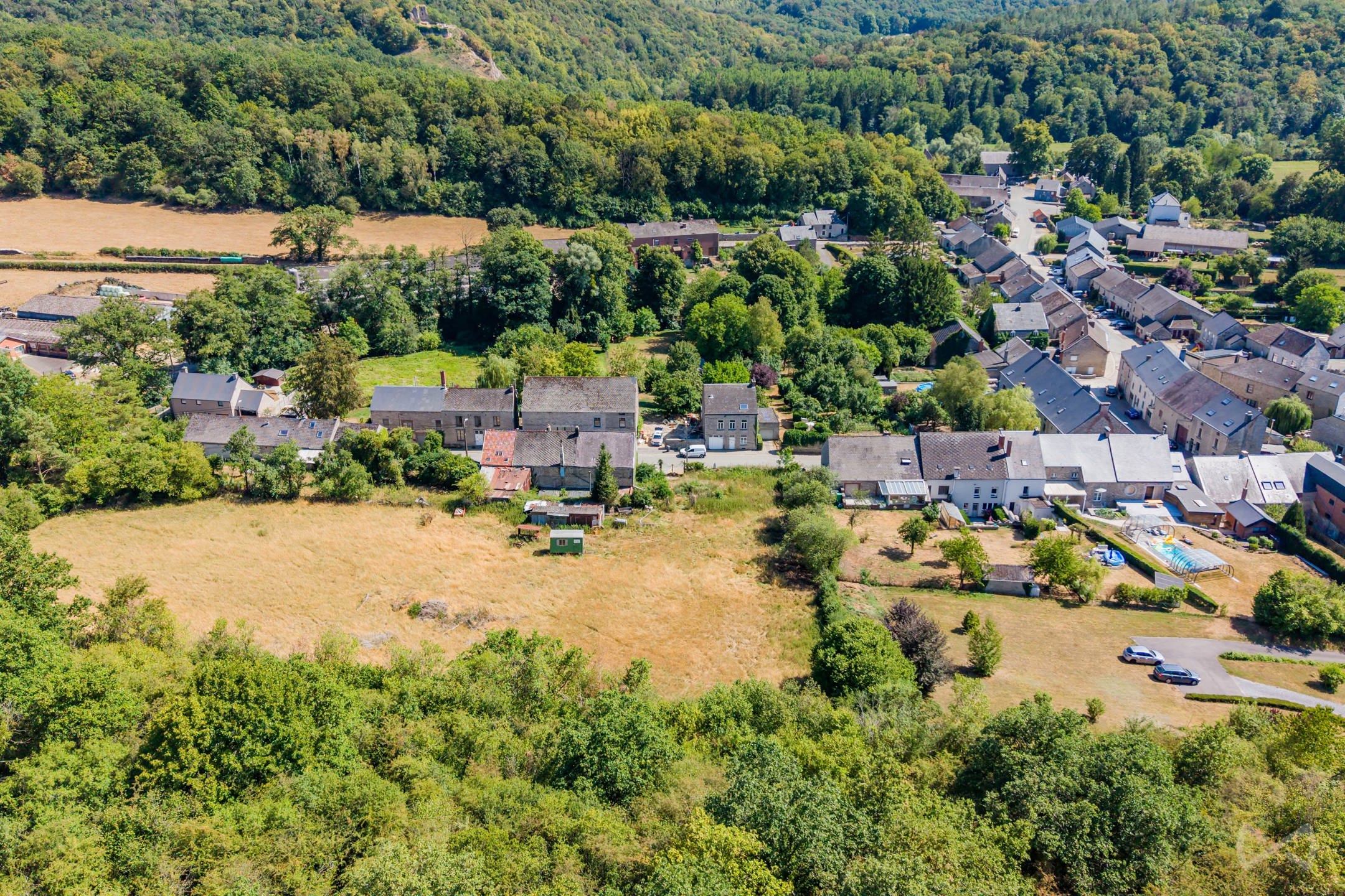 Land for sale in Dourbes - photo 5