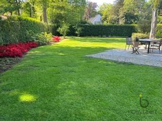 Maison à vendre à Schilde