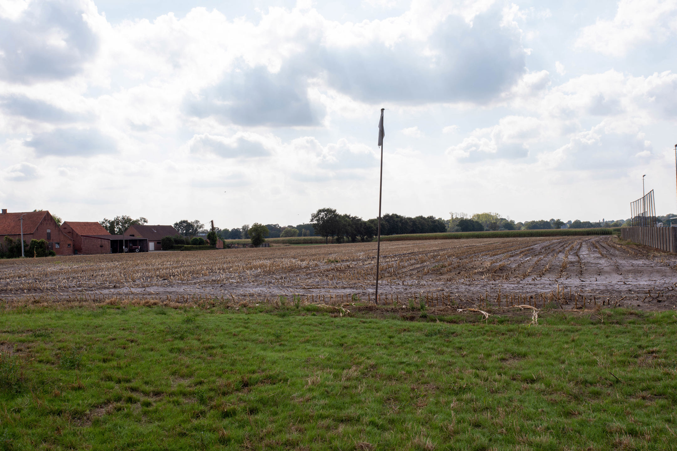 Grond te koop in Kalmthout - foto 4