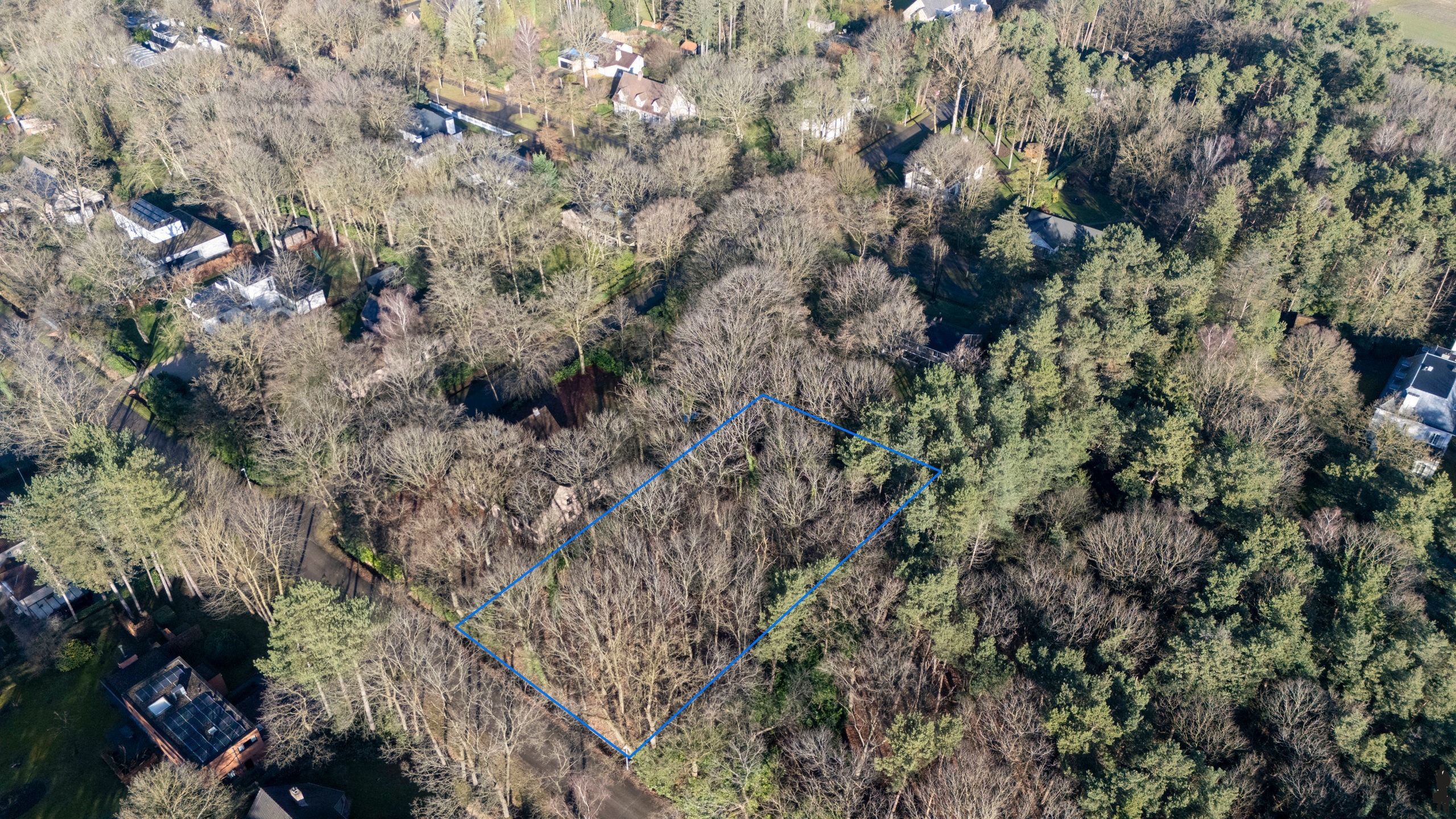 Villaperceel voor open bebouwing omgeven door bos&amp;natuur  - foto 2