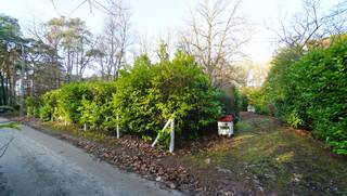 Rustig gelegen mooie bouwgrond van circa 50 are waarvan deels te behouden bos langsheen rustige residentiële straat zijwaarts van de Tremelobaan op 1,5 km van het centrum.<br />Zuiden langs linkerzijde. <br />Perceelsbreedte: circa 30 meter<br />Bouwbreedte: vooraan circa 14 meter - achteraan 20 meter<br />Dakhelling minimum 5° dakvorm vrij - plat dak toegelaten - kroonlijsthoogte max. 7 meter<br />Bijgebouw van 50m² toegelaten en houten tuinhuis 16m².<br />Geen bouwverplichting. Goedgekeurde verkaveling (lot 2)<br />Kosten voor opmeting + afpaling 2.420 euro en aandeel verkavelingsakte ten koste van de koper.<br />Gelegen langsheen Raymond Lambertslaan links van nr. 10.<br />Stedenbouwinfo: gelegen in woonpark (=residentieel woongebied), verkavelingsvergunning uitgereikt, geen voorkooprecht ruimtelijke ordening, geen rechterlijke herstelmaatregel of bestuurlijke maatregel opgelegd.<br />Geen risicozone voor overstromingen - perceelscore A -  te behouden bos achteraan perceelsore B