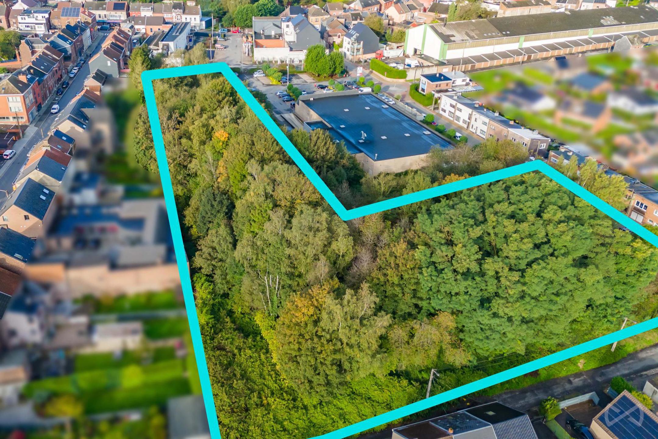 Grond te koop in Ransart - foto 4