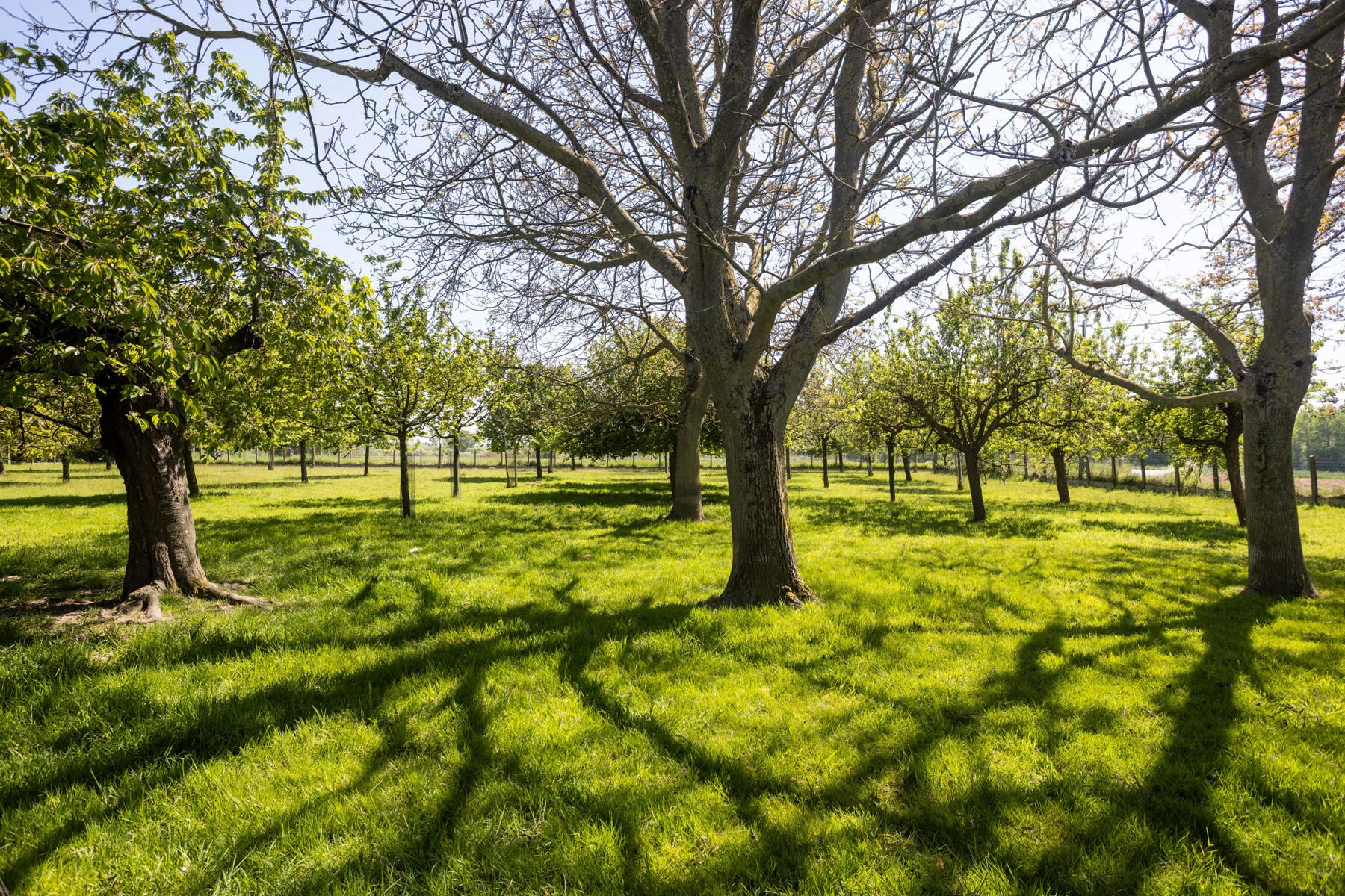 Karaktervolle villa met prachtig uitzicht op een toplocatie - foto 3