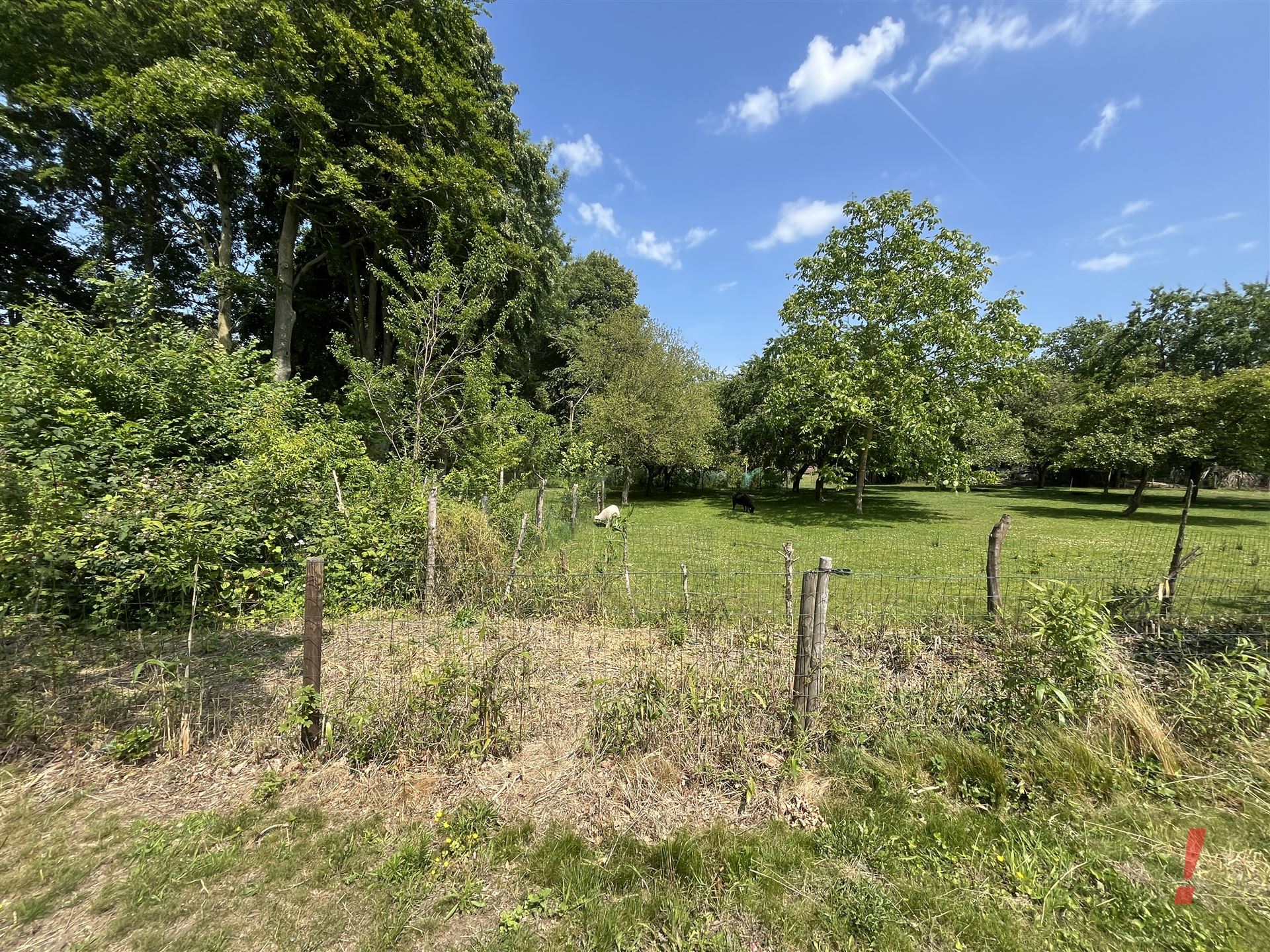 Bouwgrond lot2 vlakbij Flaminca park - vrije keuze aannemer en architect - foto 2